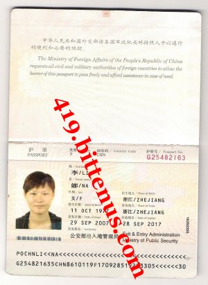 international passport